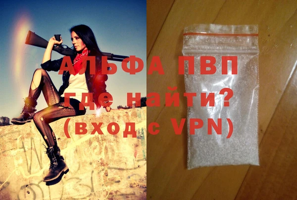 стаф Ессентукская