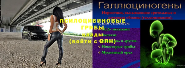гашик Краснотурьинск
