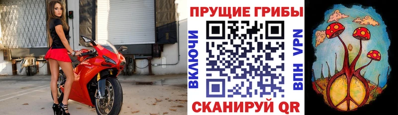 Галлюциногенные грибы Cubensis  Колпашево 
